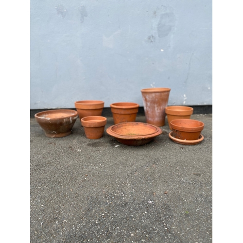 318 - Terracotta bowl and small planting Potts