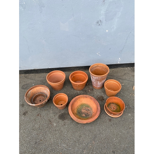 318 - Terracotta bowl and small planting Potts