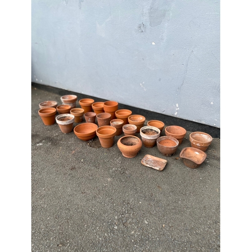 319 - A large collection of small terracotta pots.