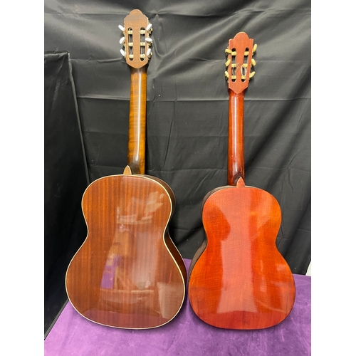 59 - Two acoustic Guitars - Santos Martinez SM30 + Angelica