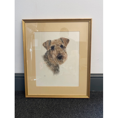 453 - Beautiful signed sketch of a Airedale terrier

Dimensions - 19.5