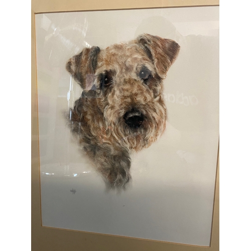 453 - Beautiful signed sketch of a Airedale terrier

Dimensions - 19.5