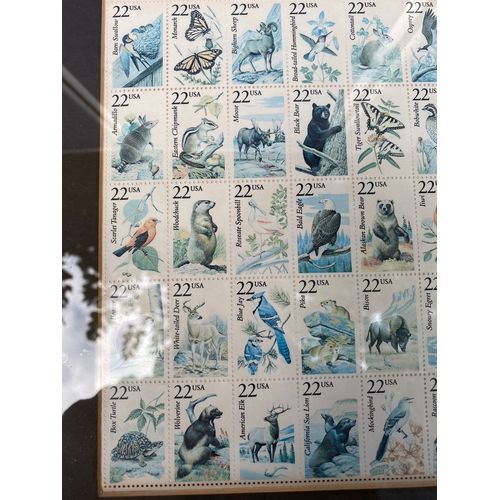 396 - Beautiful framed animal stamp collection 

Dimensions 14