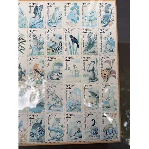 396 - Beautiful framed animal stamp collection 

Dimensions 14