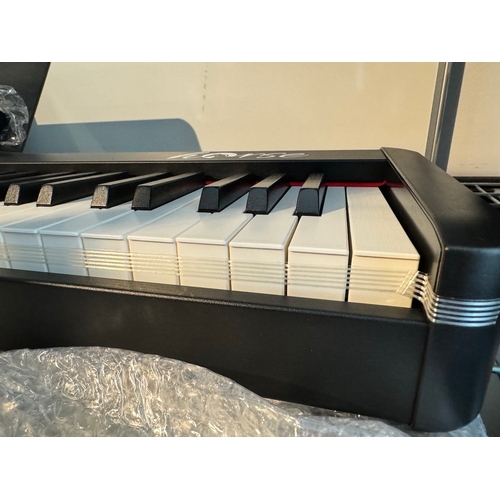 81 - Brand new Horse Electrical Piano with case