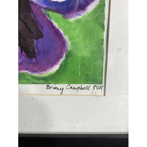 344 - Signed watercolour by Brainy Campbell