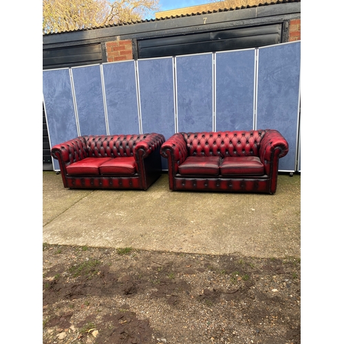 202 - Two crimson leather chesterfield sofas.