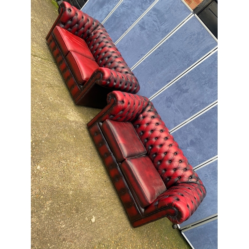 202 - Two crimson leather chesterfield sofas.