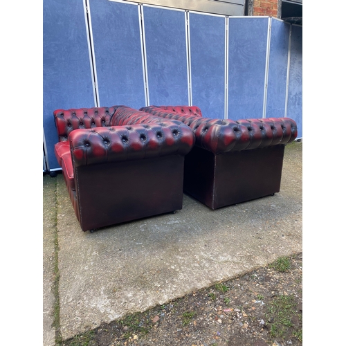 202 - Two crimson leather chesterfield sofas.