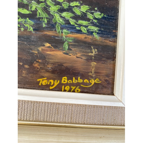 446 - Collection of paintings by Tony Babbage. 

Dimensions of largest in images for reference.