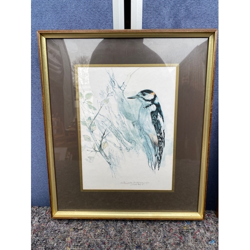 452 - Two mixed media prints including a Great spotted woodpecker and a Common Snipe. 

Dimensions - 13