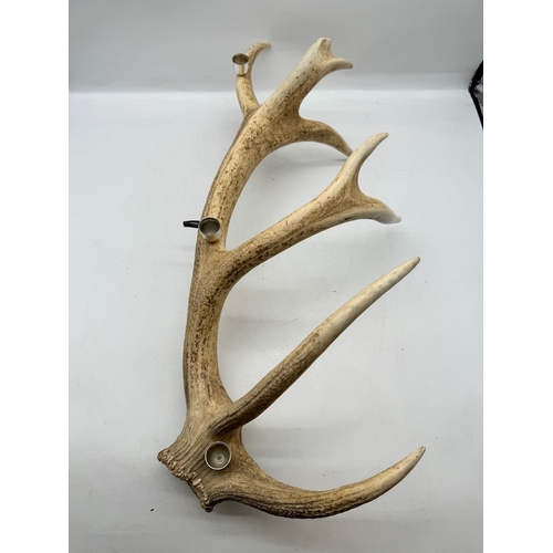 112 - Stag Antler candle holder - 70cm