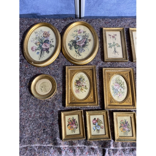 530 - A large collection of Miniature flower prints in Gold leaf frames. 

Dimensions of largest in images... 