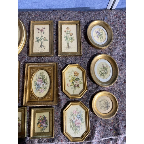 530 - A large collection of Miniature flower prints in Gold leaf frames. 

Dimensions of largest in images... 