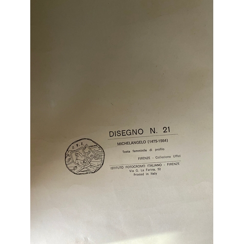 564 - 'Disegno' by Michelangelo Print

Dimensions - 18