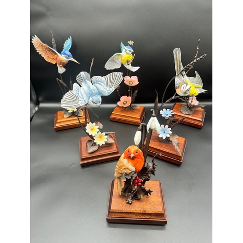 125 - Collection of six birds by sculpture David Fryer commissioned by The Danbury Mint - bone china & bro... 