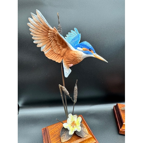 125 - Collection of six birds by sculpture David Fryer commissioned by The Danbury Mint - bone china & bro... 