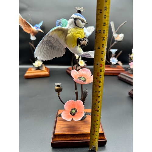 125 - Collection of six birds by sculpture David Fryer commissioned by The Danbury Mint - bone china & bro... 