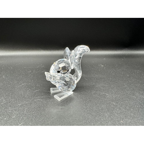 159 - Collection of Swarovski Crystal Animals including 221120 Seal / 181080 Panda / 011871 Squirrel / 261... 