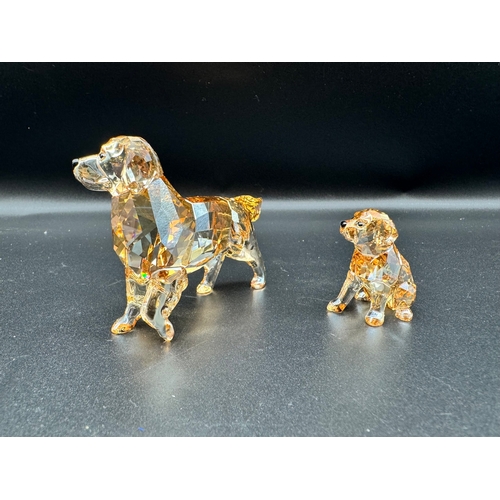 164 - Swarovski Crystal 1142823 Golden Retriever + 1142825 Golden Retriever