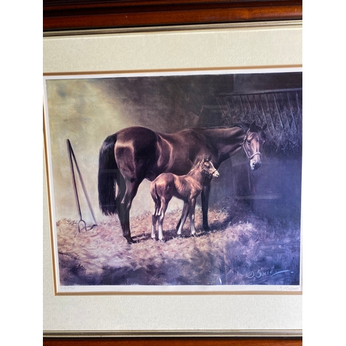 496 - Signed print of a Horse and its Foal.