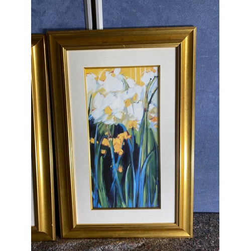 502 - Two floral prints in gilt frames.