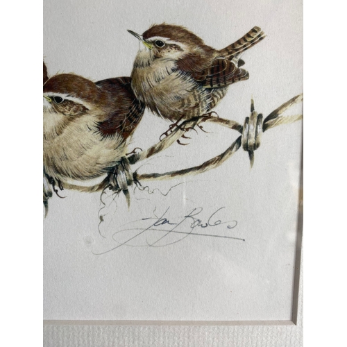 533 - A collection of three bird prints signed by Jan Bowles.