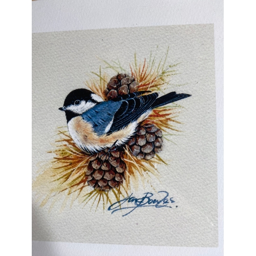 533 - A collection of three bird prints signed by Jan Bowles.