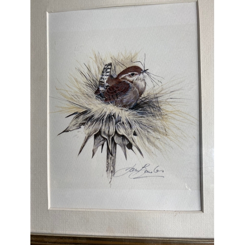 533 - A collection of three bird prints signed by Jan Bowles.