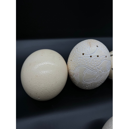 65 - Four Ostrich eggs - African Art