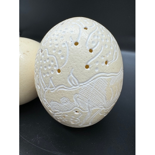 65 - Four Ostrich eggs - African Art