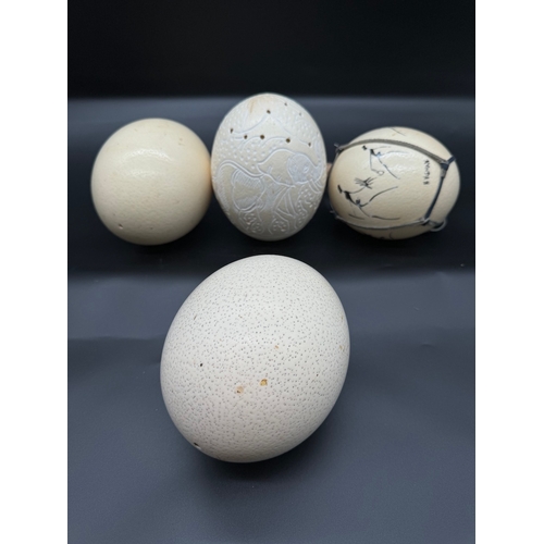 34 - Four Ostrich eggs - African Art