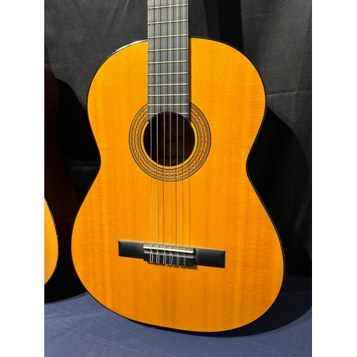 19 - Two Acoustic Guitars - Encore W255, Admira Ronda + soft cases