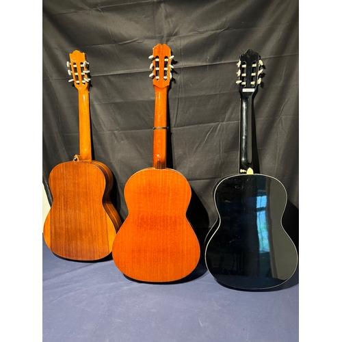 26 - Three Acoustic Guitars - Chuan Yin Marina Mark 9 , Bespana, Rio + soft cases