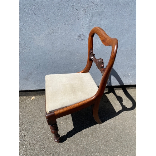 271 - A Mid century blonde Ercol chair and Antique ballon back mahogany upholstered chair.