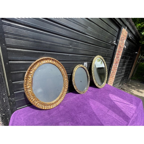 292 - Three Ornate circular Mirrors