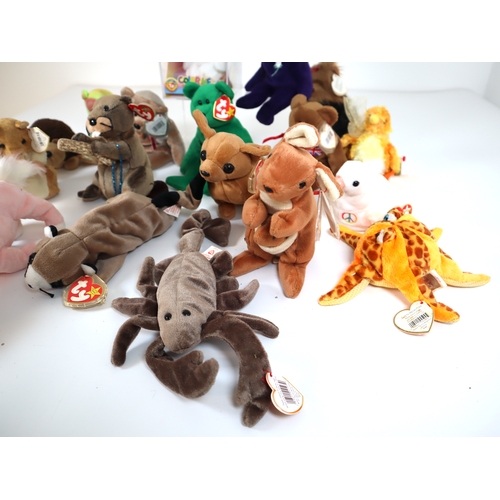 48 - Collection of Beanie Babies