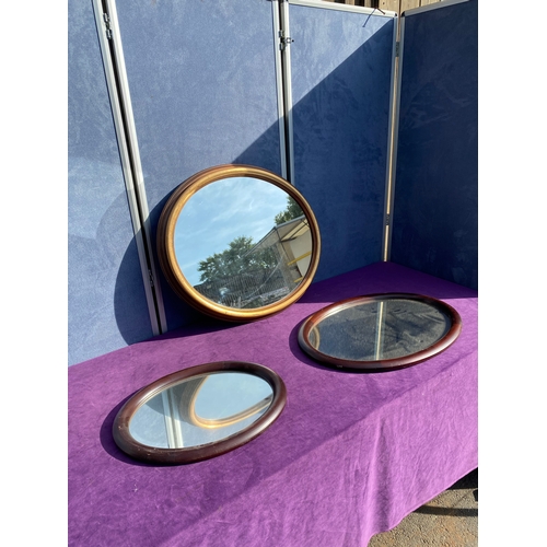 801 - Three Oval wooden framed mirrors