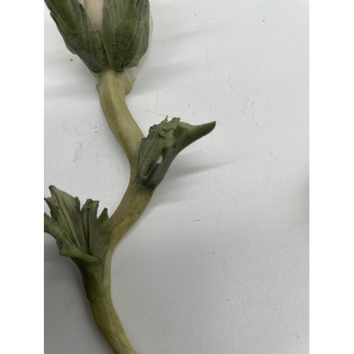 232 - Collection of floral inspired ceramics including Capodimonte