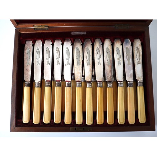 179 - Beautiful Edwardian inlay cutlery case by Elkington & Co with Silver plate and bone handles knives &... 