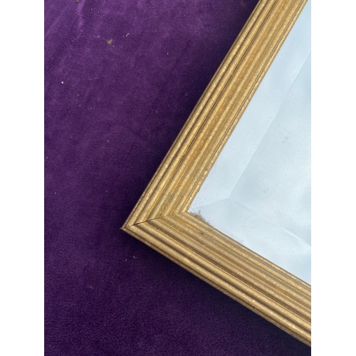 698 - Two rectangular gilt framed mirrors