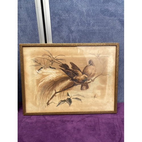 728 - A signed pastel portrait of a dog and Vintage water colour of birds signed A.Garrece