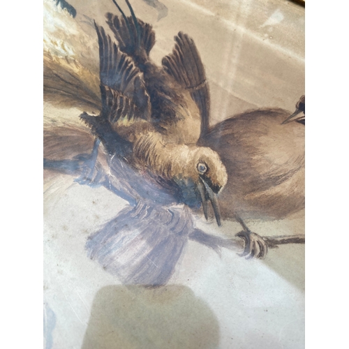 728 - A signed pastel portrait of a dog and Vintage water colour of birds signed A.Garrece