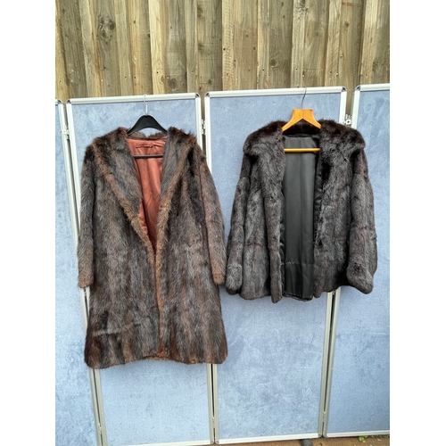 Two Fur Coats