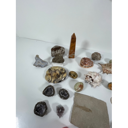 376 - A very interesting quantity of collectable  items including fossils, geodes, and shells