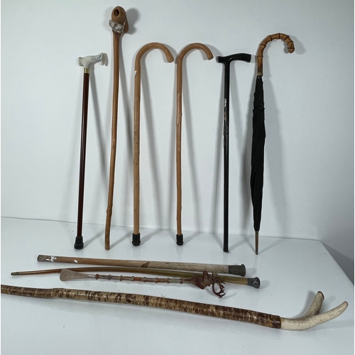 397 - A lot including walking sticks an umbrella and an Antler staff