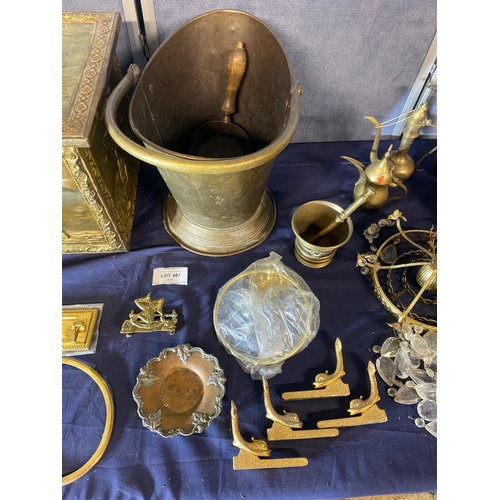 481 - Large collection of Brass/copper oddities including coal scuttle, plates and jugs.