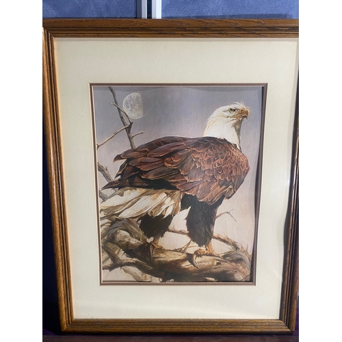 727 - Vintage bald eagle and Glowed with tints of evening hours by Joseph Farquharson framed prints