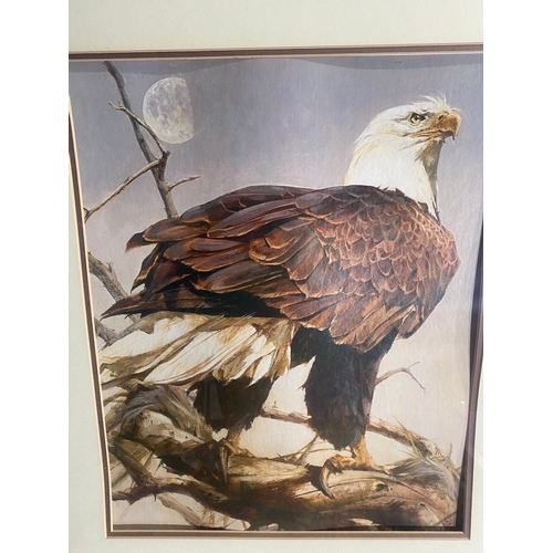 727 - Vintage bald eagle and Glowed with tints of evening hours by Joseph Farquharson framed prints