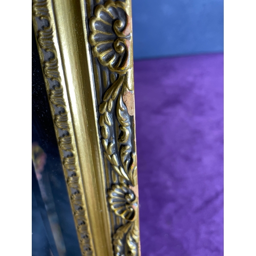 776 - Rectangular gilt framed mirror.